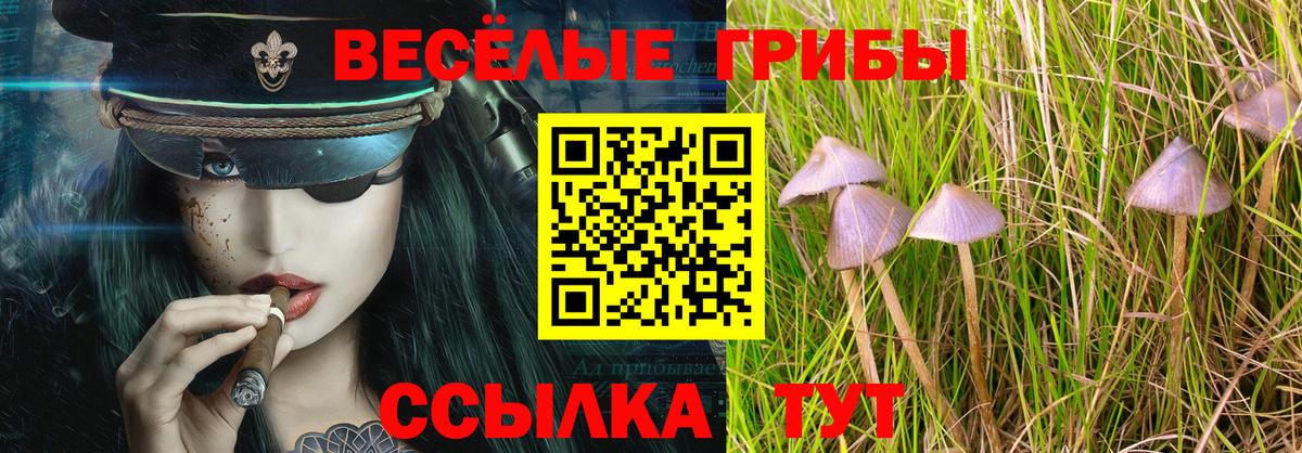Галлюциногенные грибы ЛСД Россошь